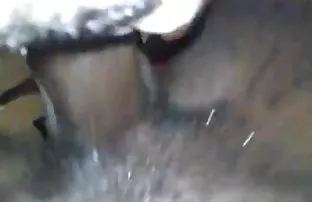 XXX युवा कलाकार ने सभी के लिए गांड में मॉडल की चुदाई की
