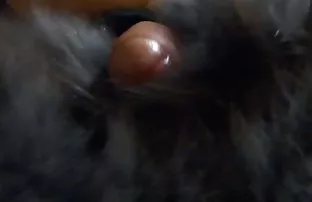 XXX शैंपेन, बहादुर श्यामला उसके दोस्त की शक्तिशाली काली डिक चूसा