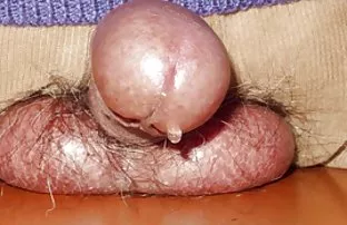XXX बेस्पेक्टेड नेग्रिटोस ने एक उत्साहित सफेद लड़की को पाया और पल को जब्त कर लिया