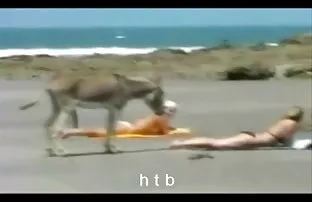 XXX बड़े भाई और ottarabanil उसकी रसदार प्रेमिका से नहीं डरते