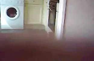 XXX युगल भव्य पोर्न कमबख्त कास्टिंग दिखाता है