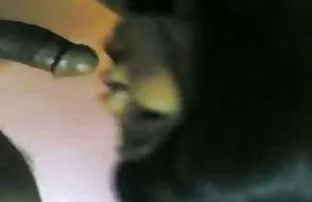 XXX पहली डेट पर लंबे बालों के साथ श्यामला को एक ग्रे बालों वाली बीब दी जाती है